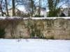 p1040248_small.jpg