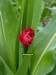 p1010761_small.jpg
