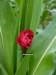 p1010762_small.jpg
