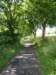 p1010767_small.jpg