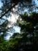 p1010770_small.jpg