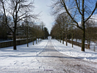 Schlossgarten